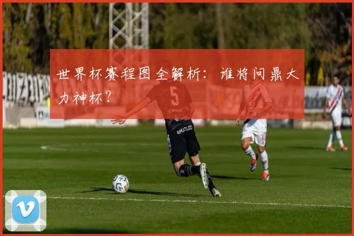 世界杯赛程图全解析:谁将问鼎大力神杯?