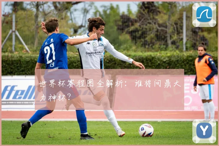 世界杯赛程图全解析:谁将问鼎大力神杯?