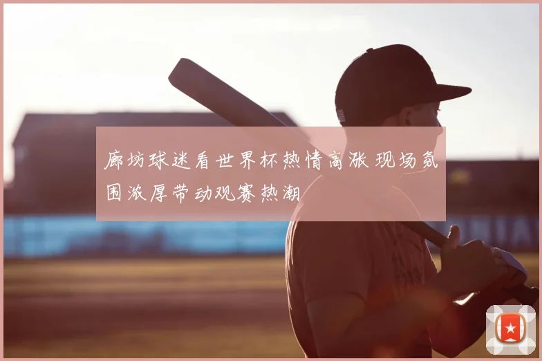 廊坊球迷看世界杯热情高涨 现场氛围浓厚带动观赛热潮