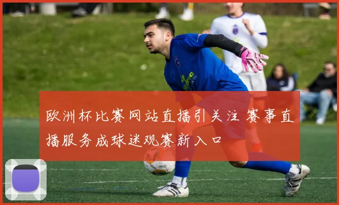 欧洲杯比赛网站直播引关注 赛事直播服务成球迷观赛新入口